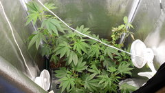 DSCN2117.JPG