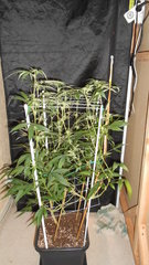 DSCN2119.JPG
