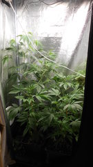 DSCN2123.JPG