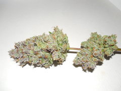 Monkey banana #3 - Paisa grow