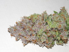 Monkey banana #3 - Paisa grow