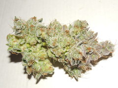 Monkey banana #2 - Paisa grow