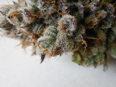 Monkey banana #4 - Paisa grow