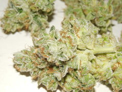 Monkey banana #1 - Paisa grow