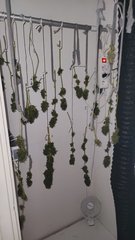 IMG_20220601_180938.jpg