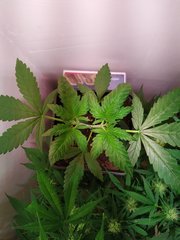 IMG_20220613_113645.jpg