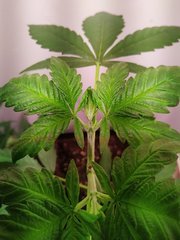 IMG_20220613_113656.jpg