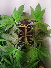 IMG_20220624_081423.jpg