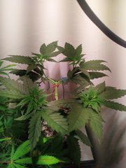 IMG_20220627_205508.jpg