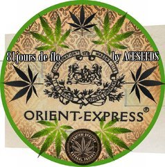 orientexpresslogo.jpg