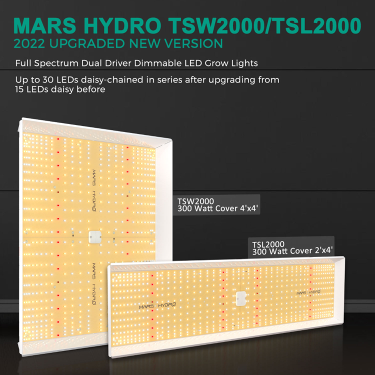TSL-2000 and TSW-2000.png