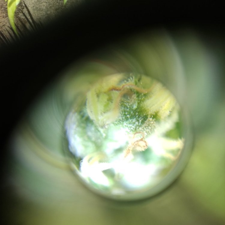 1659282736121.jpg