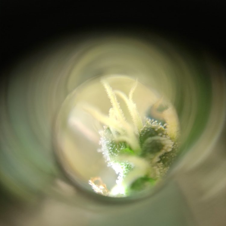 1659282736161.jpg