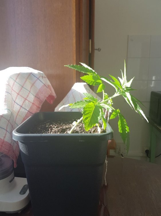 20220712_190317.jpg