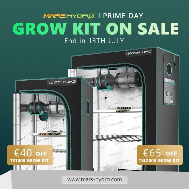 Canaweed-prime day_副本.jpg