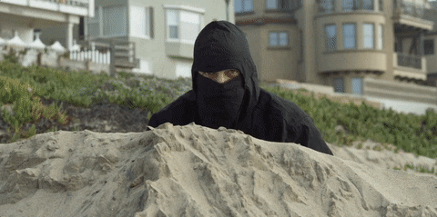 giphy (1).gif