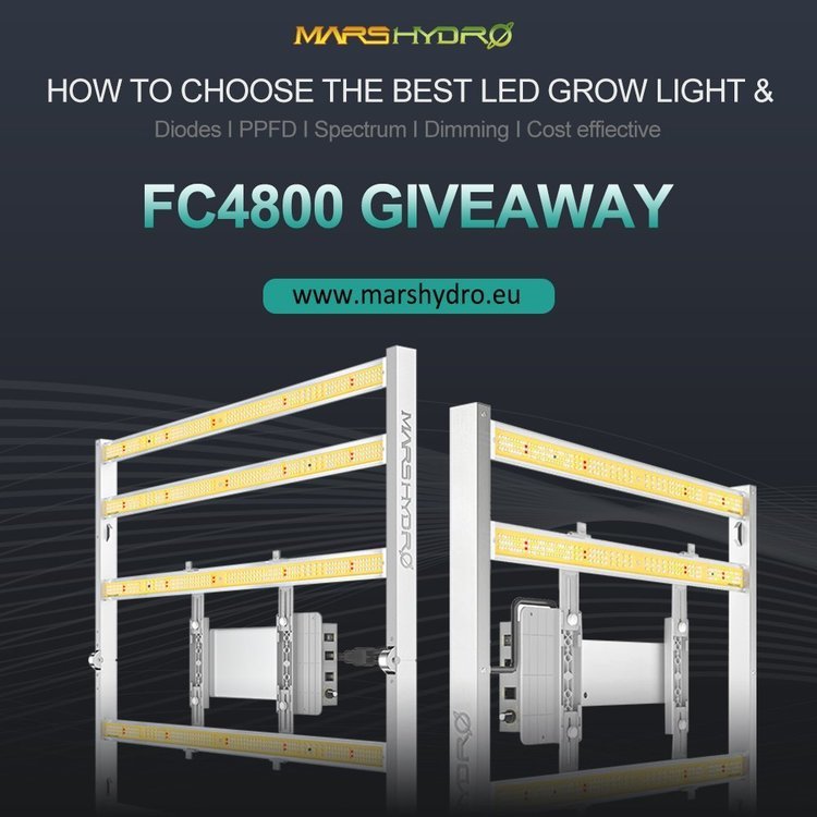 FC-4800-Giveaway(1)(1).jpg