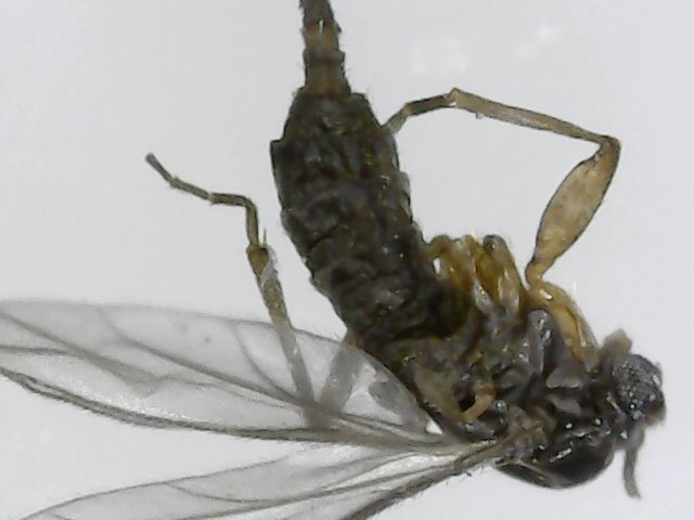 Snapshot@2022_0711_003416.jpg.6ea874e515df2ed4f70c68fd87ac05e0.jpg