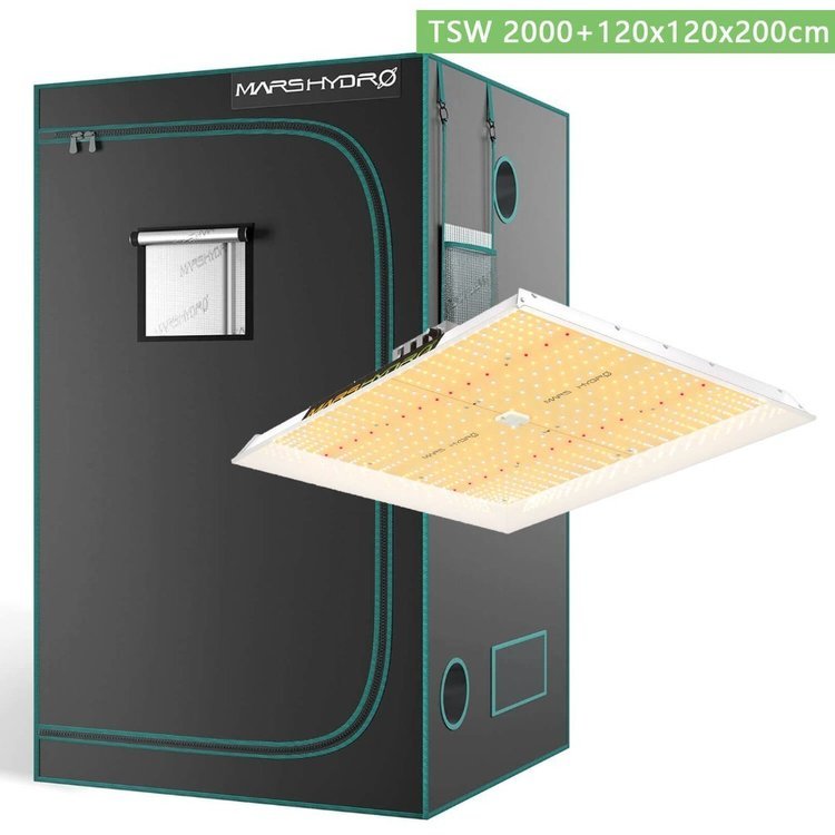 TSW2000-LED-plus-120x120x200cm-Grow-Tent.thumb.jpg.daa34a189b2b85ef1ebe23b8fd4ef855.jpg