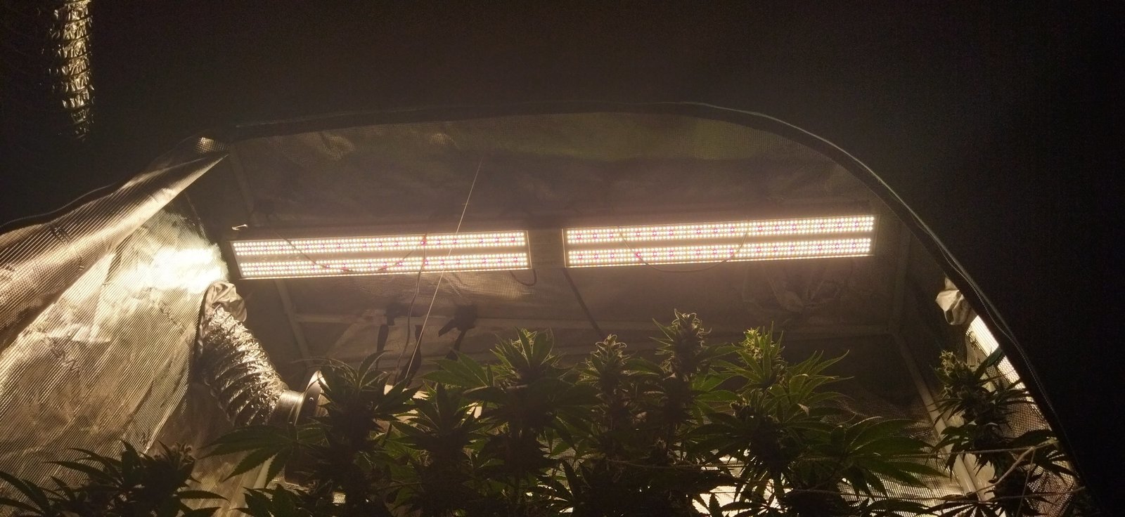 Mars hydro SP 3000 2X4