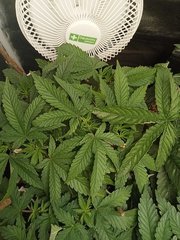 IMG_20220724_184724.jpg
