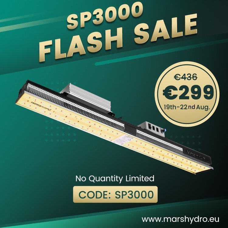 Flash sale - Mars Hydro SP3000(1)_副本.jpg
