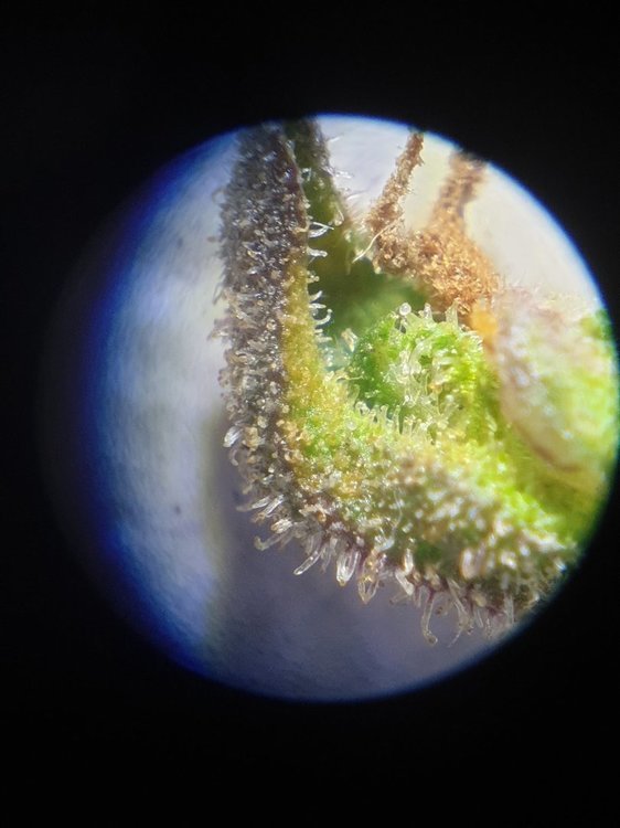 20220806_191033.jpg