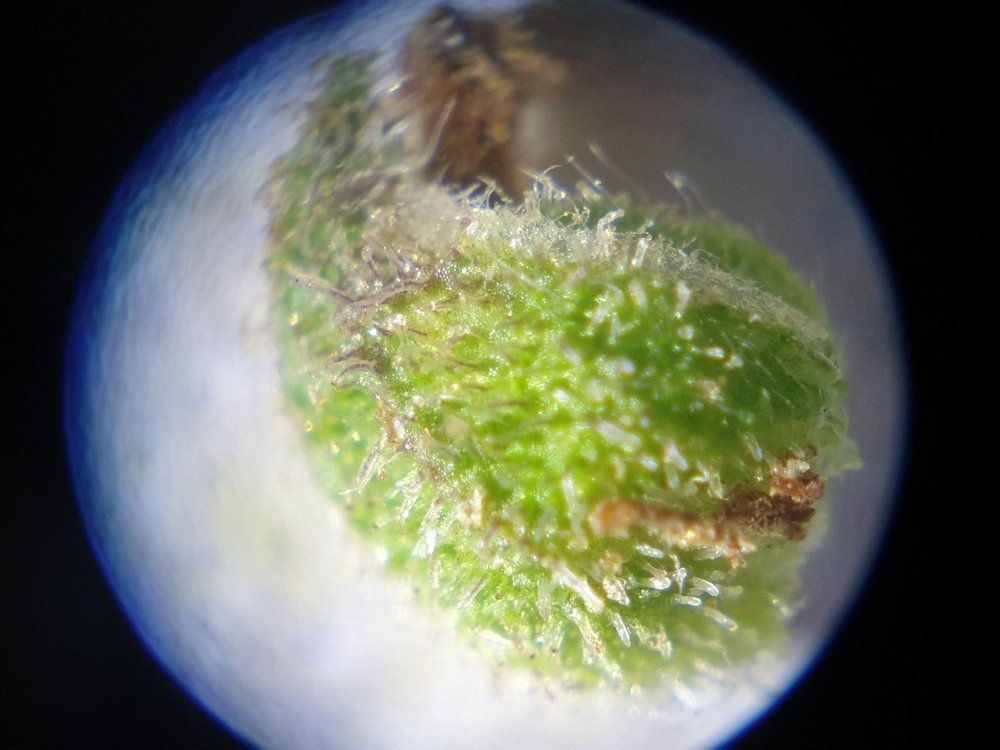 20220806_191115.jpg
