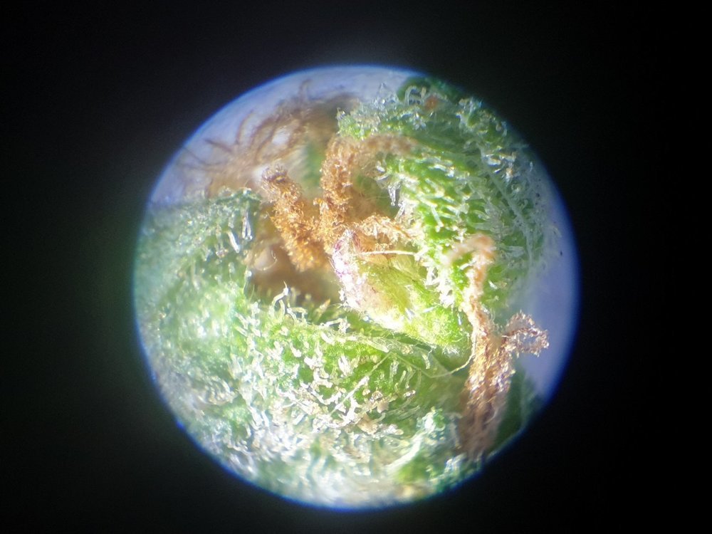 20220807_183023.jpg