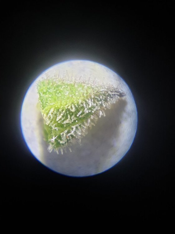 20220807_205201.jpg