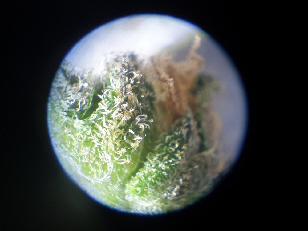 20220807_205729.jpg