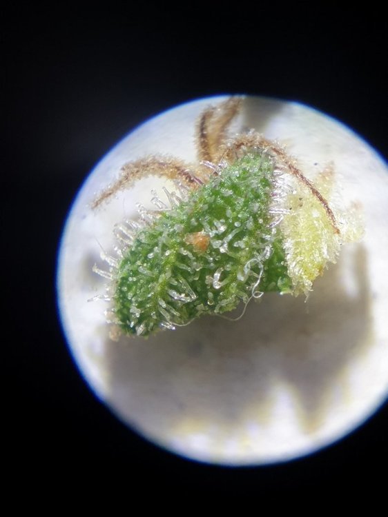 20220807_210023.jpg
