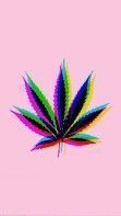 Weed_Khalifa