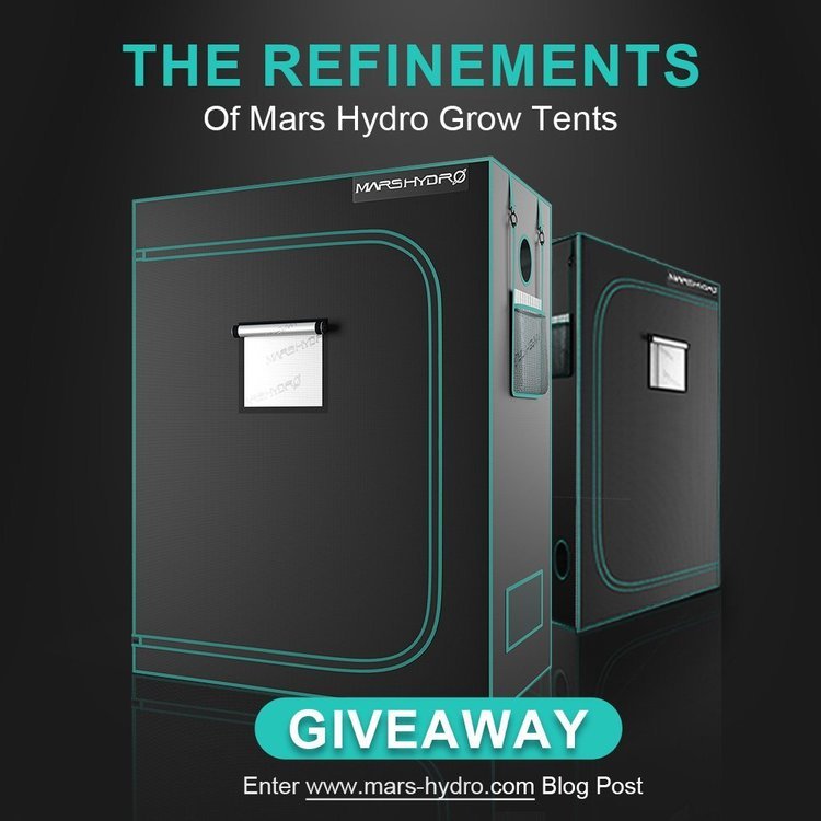 2x4 grow tent giveaway mars hydor blog post.jpg