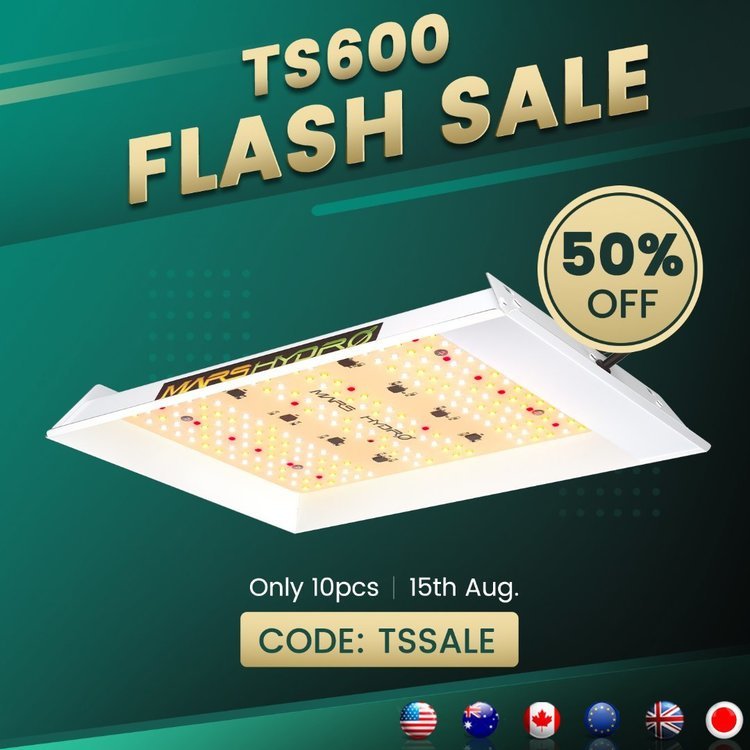 Flash sale - Mars Hydro TS600(1).jpg