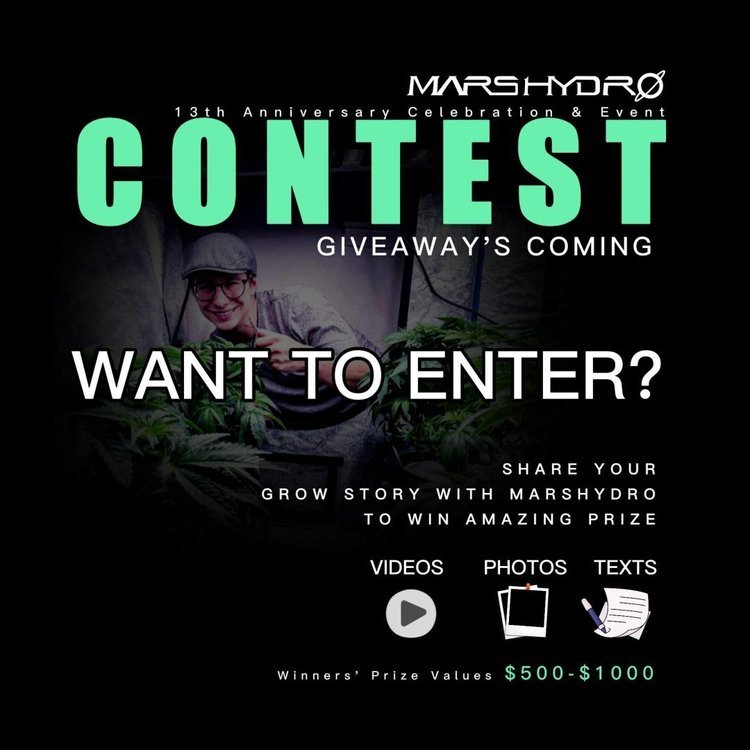 contest.jpg