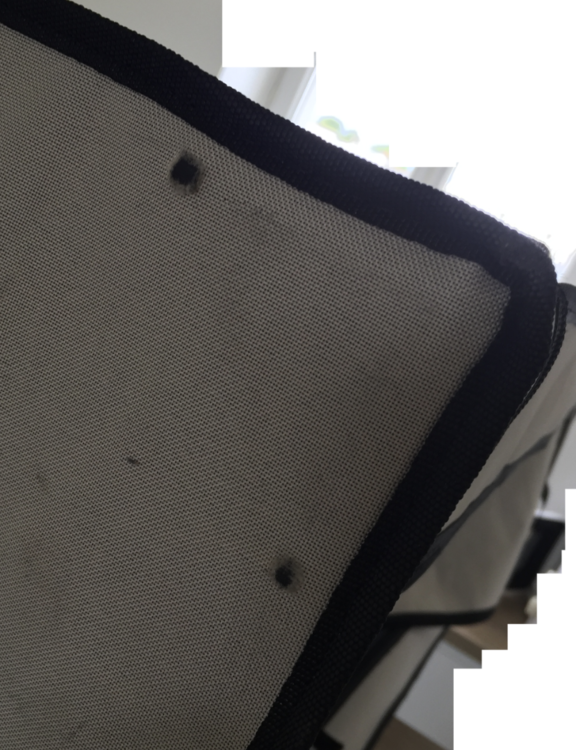 image.thumb.png.1e36914b527abb5ce3b52239a96160b5.png
