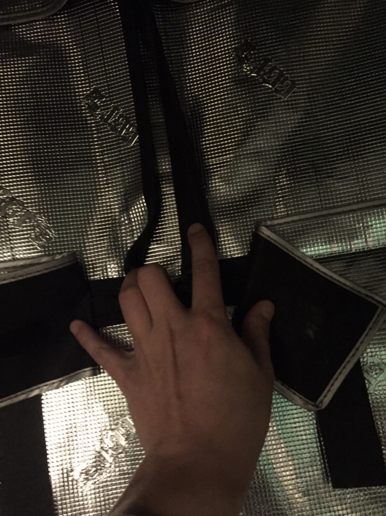 image.thumb.png.2f4cb8bcc18d8182e93a85237920e707.png