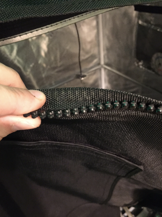 image.thumb.png.524a97c07f8d9ccdc14391cbc5c85a9e.png