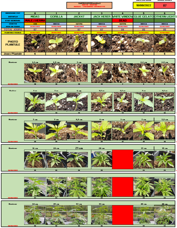image.thumb.png.5b504210bfa607f7ea6174401e4fc4dc.png