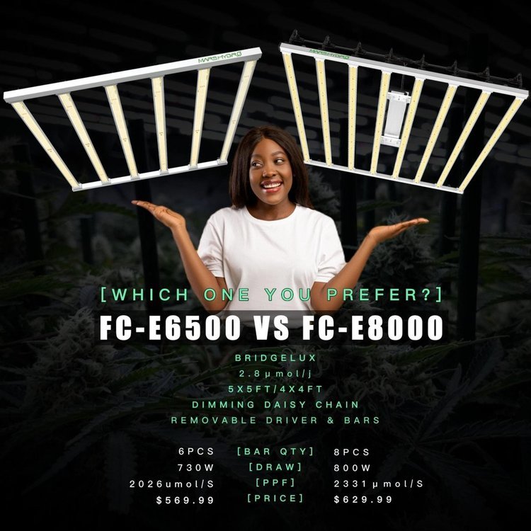 fce6500 vsfce8000.jpg