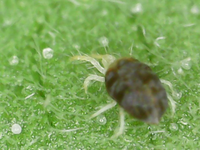 1658717368_SatSep0316-25-48.jpg.cc26086793302c124cd286e72e02e46f.jpg