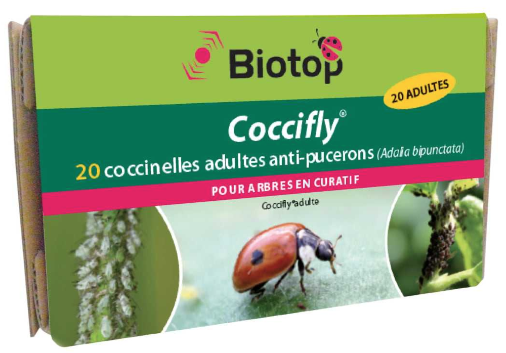 cocci.thumb.png.d3dac0b01d670aa8321760981daac5e9.png