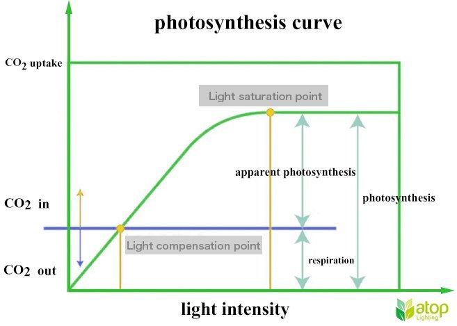 led-grow-light-04.jpg.4d7e89694b2292d926fdc6bfc7b0aac5.jpg