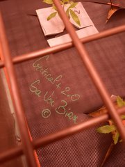 20220910_144324.jpg