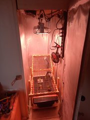 20220910_144501.jpg