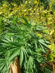 20220917_123045.jpg