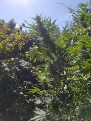 20220917_123827.jpg