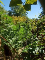 20220917_135109.jpg