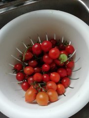 Euh, là, s'juste des tomates, pas de quoi en faire une histoire de religion